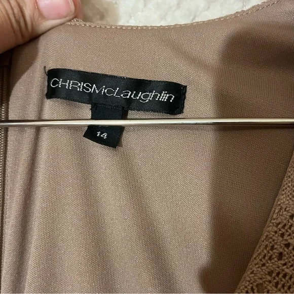 Womens Beige Taupe Lace Dress with Flounce Sleeves Elegant Size 14 - Picture 4 of 4